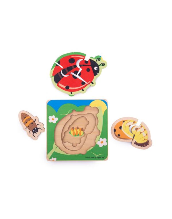Bigjigs Lifecycle Layer Puzzle - Ladybug